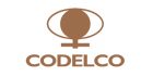 logo-codelco-fanadego